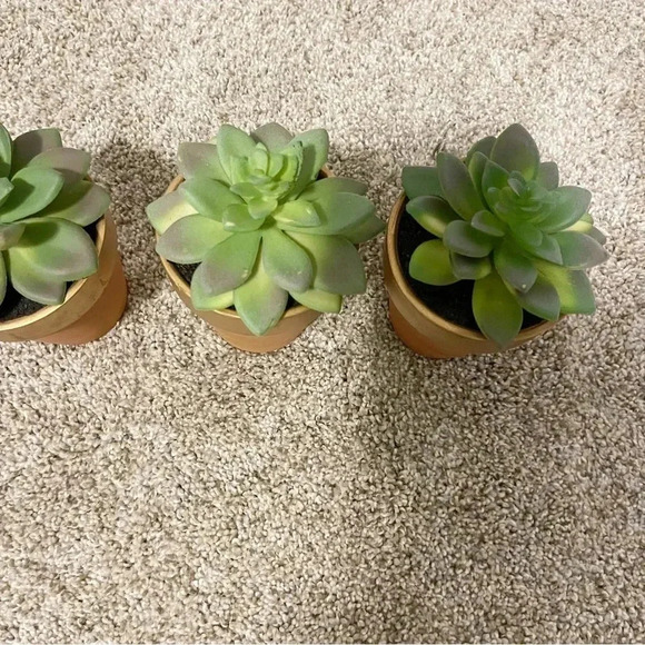 Set of 3 terracotta faux succulents new - Picture 12 of 12